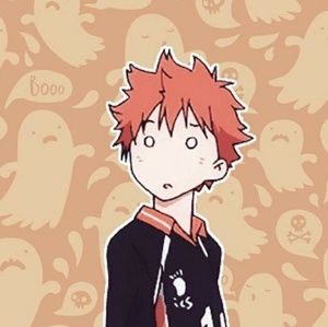 Meet your Posher, Hanaa